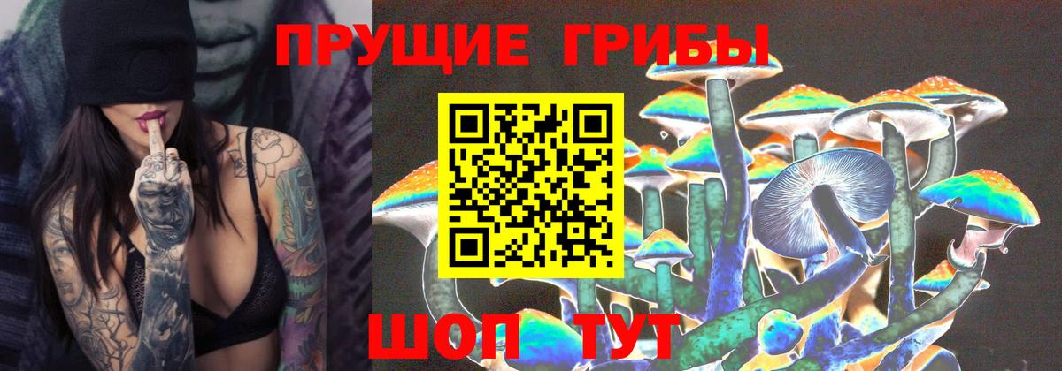 Псилоцибиновые грибы Psilocybe  дарнет шоп  Видное  Вход с VPN 